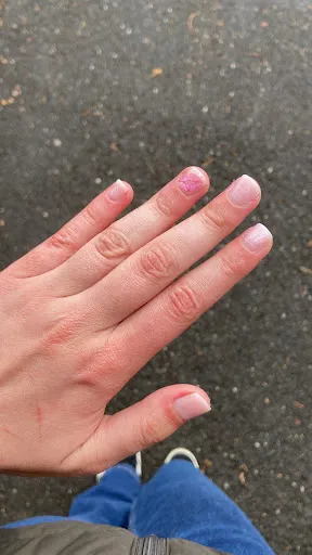 House of Nails by Ioana Goja