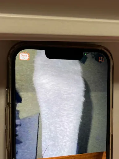 Catalin Foot Massage