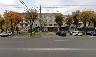 Camelia Nails Studio