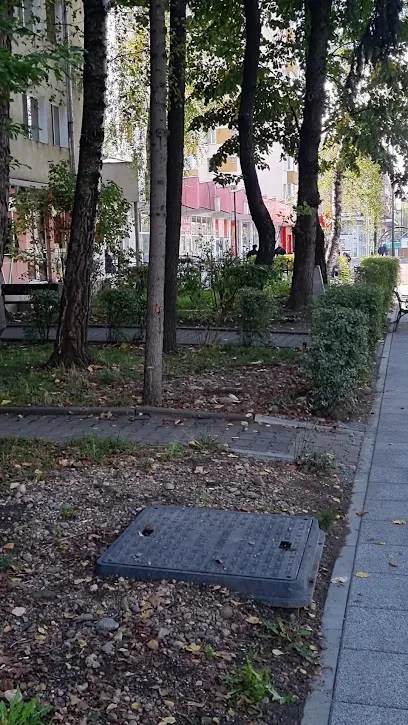 Elite - Coafor Bistrita