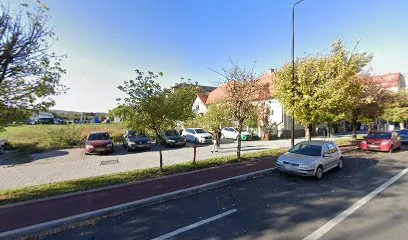 Enache Maria-Codruta PFA