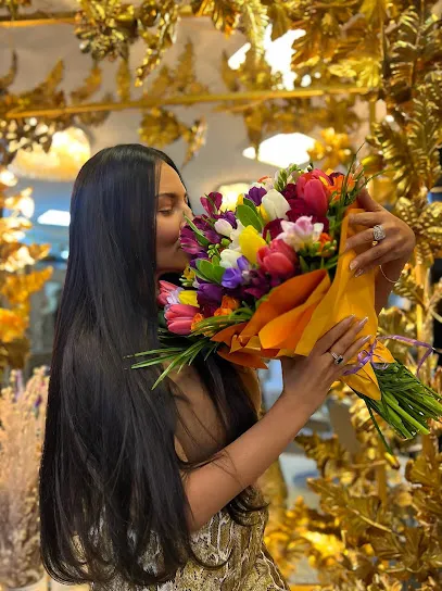 Coafor Dorobanti Sungate Solarium Studio