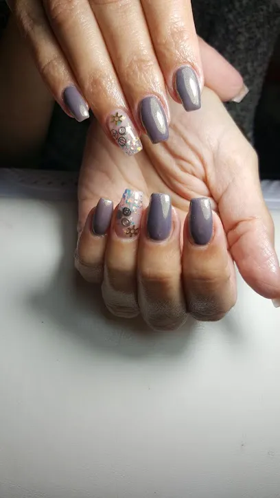 Salon Colors by Vellen