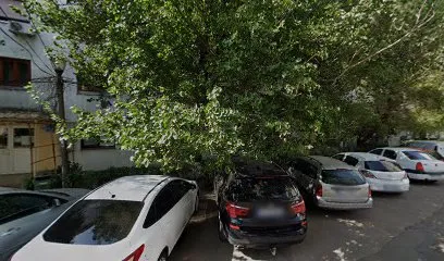 Veronica Sirbu Academy