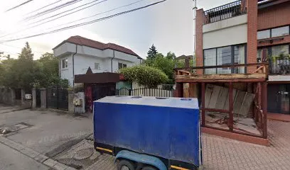 Indepartare Magnetica tatuaje Craiova