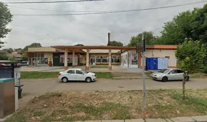 Blush Beauty by Giulia