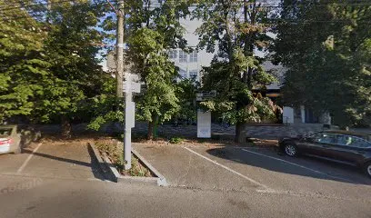 Full Brows By Giulia Maryo