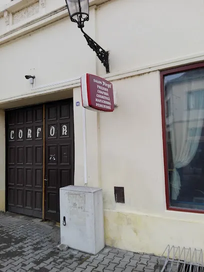 Frizeria SC Virgil SRL