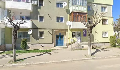 Attraction new style -Iscu Adriana