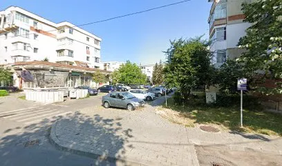 Blo Concept By Ana Roșu